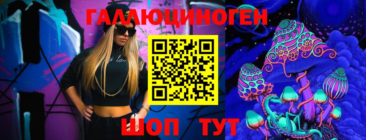 Галлюциногенные грибы ЛСД  Псилоцибиновые грибы GOLDEN TEACHER  Дзержинск  где купить наркоту  Вход с VPN 